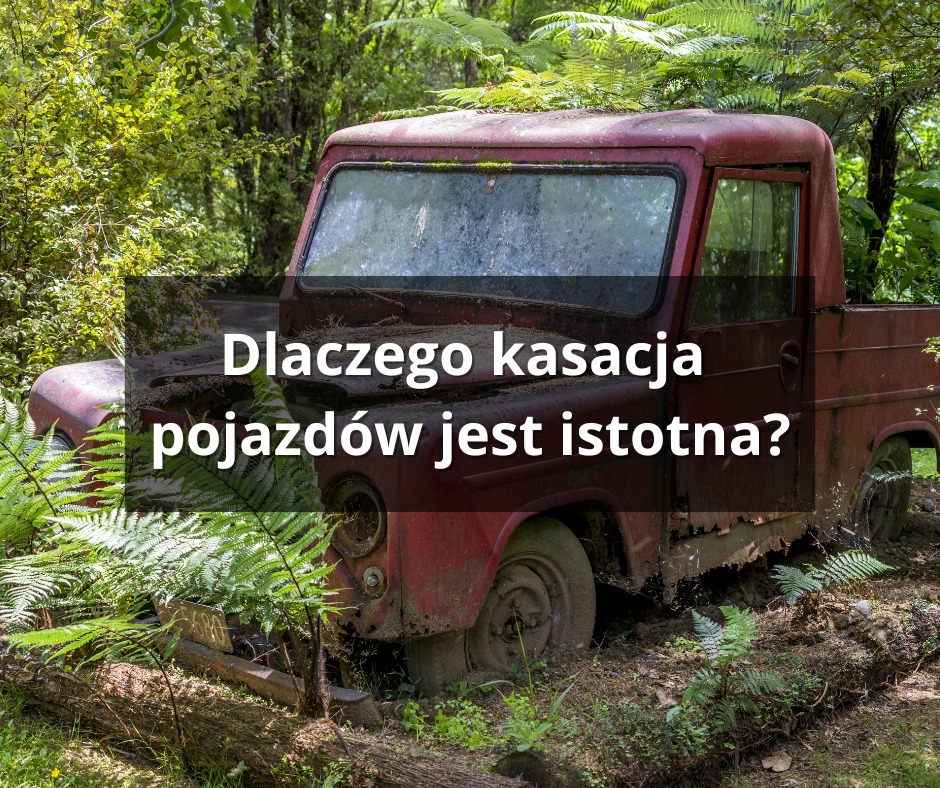 Kasacja Pojazdów Istotna